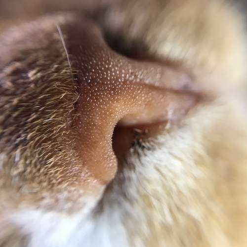 Photo #6476703