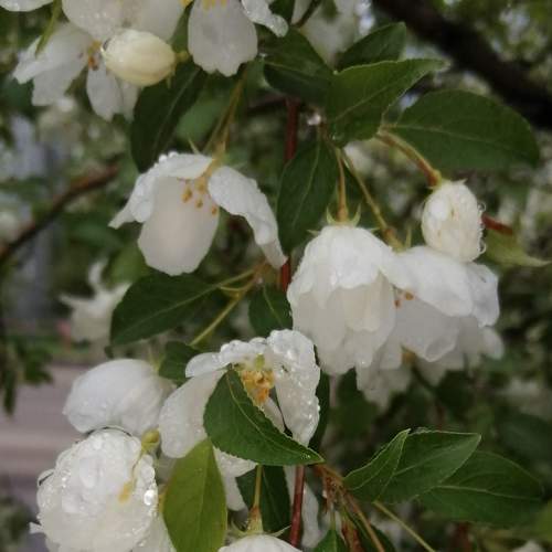 Photo #6476996