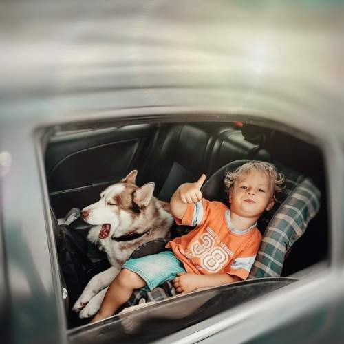 Photo #6477014