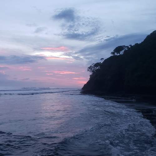 Photo #6477676
