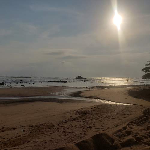 Photo #6477692