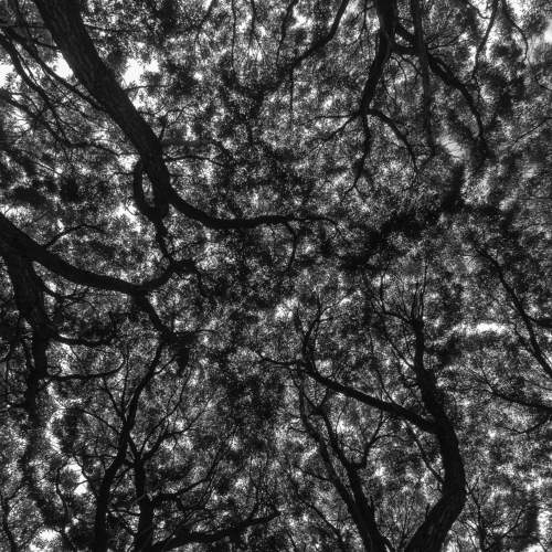 Photo #6478045