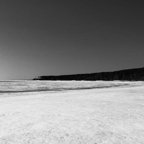 Photo #6478053