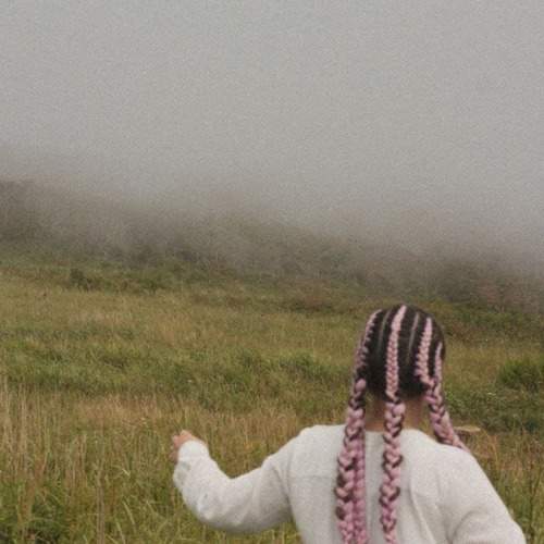 Photo #6478656