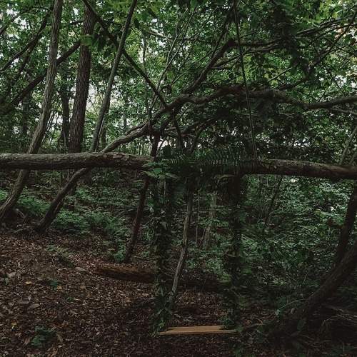 Photo #6478893