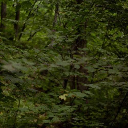 Photo #6478894