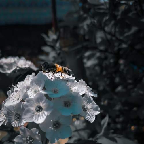 Photo #6479107