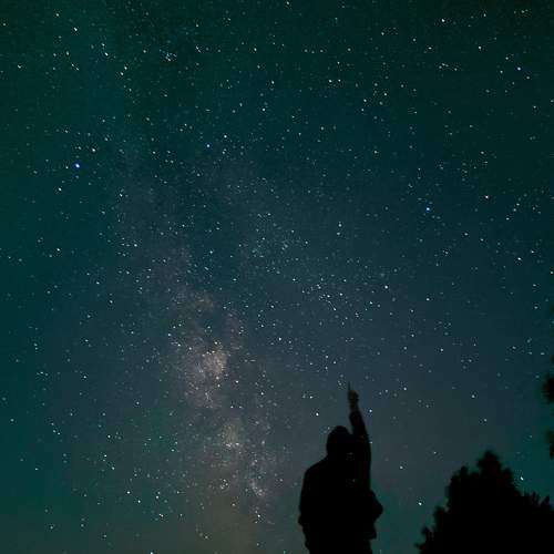Photo #6479403