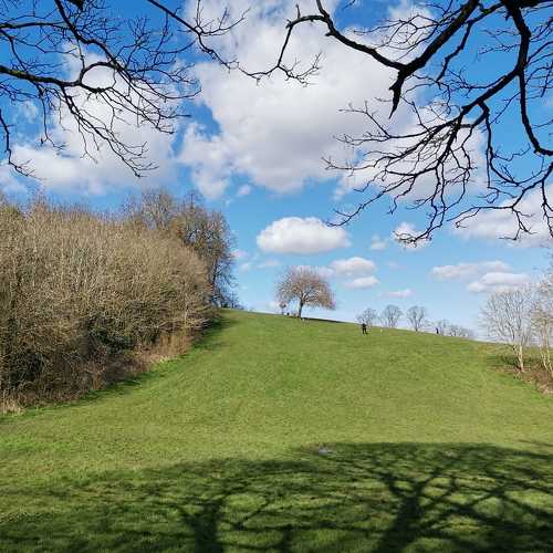Photo #6479420