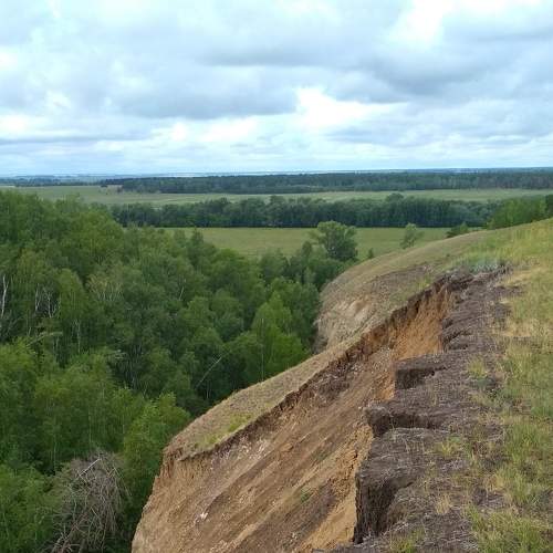 Photo #6479440