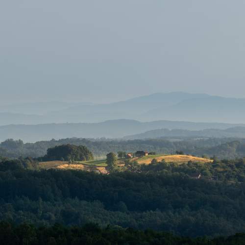 Photo #6479630