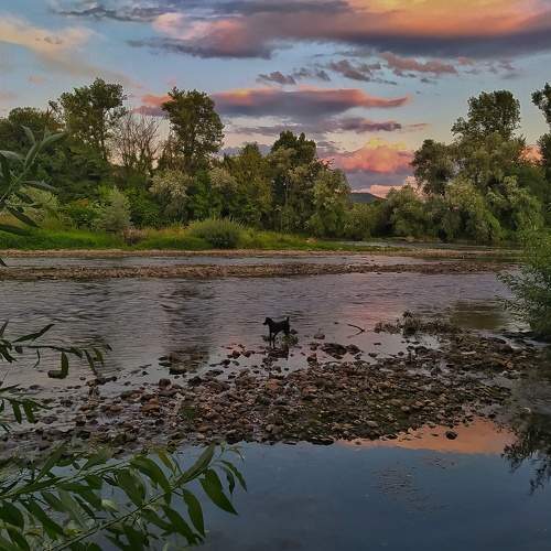 Photo #6479929