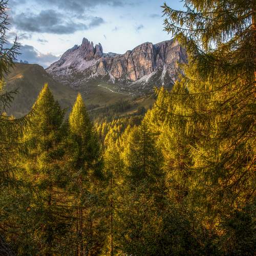 Photo #6481027