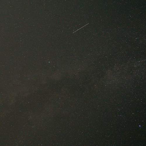 Photo #6481271