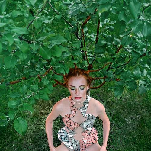 Photo #6481908