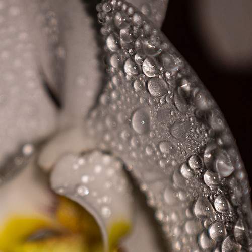Photo #6481919