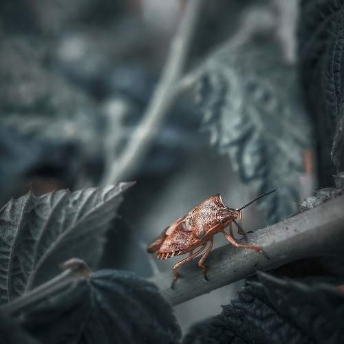 Photo #6482871