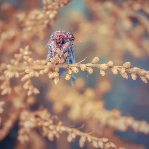 Photo #6482872