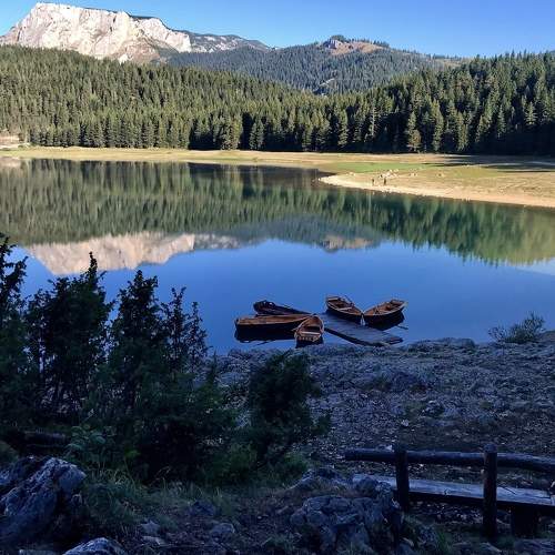 Photo #6482924