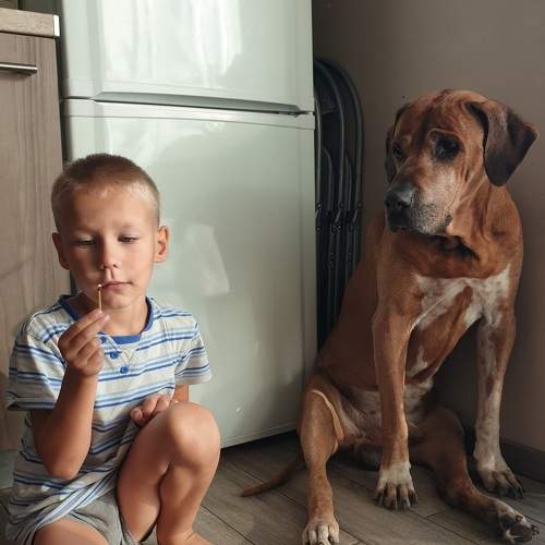 Photo #6482926