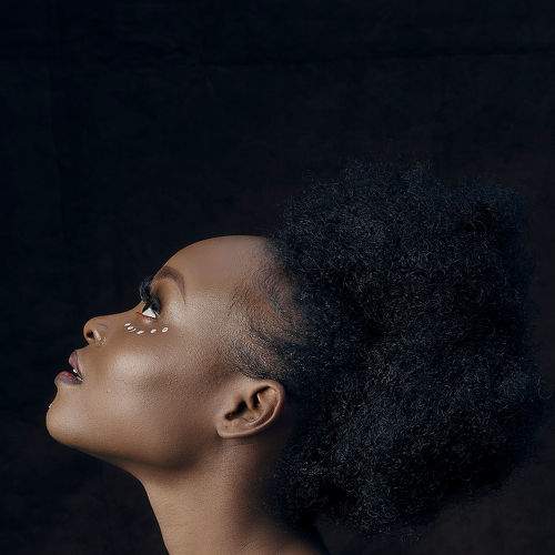 Photo #6482985