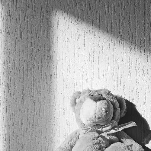 Photo #6483048