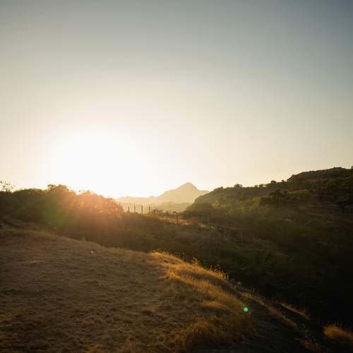 Photo #6483208