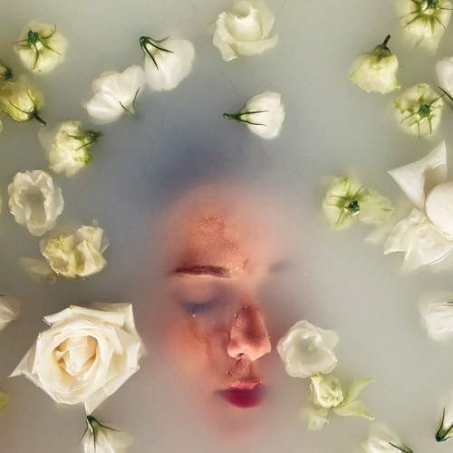 Photo #6483232