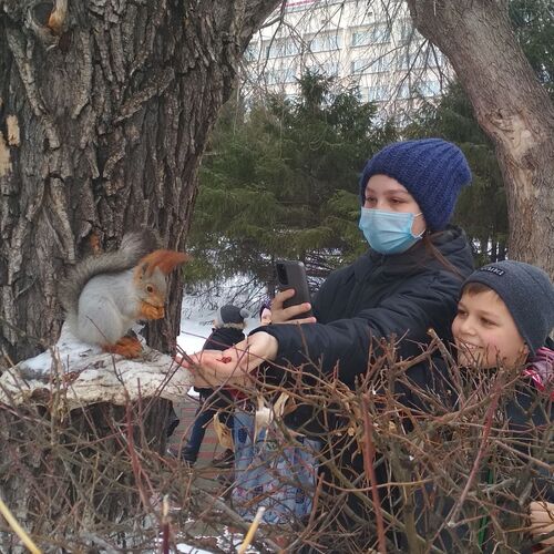 Photo #6483461