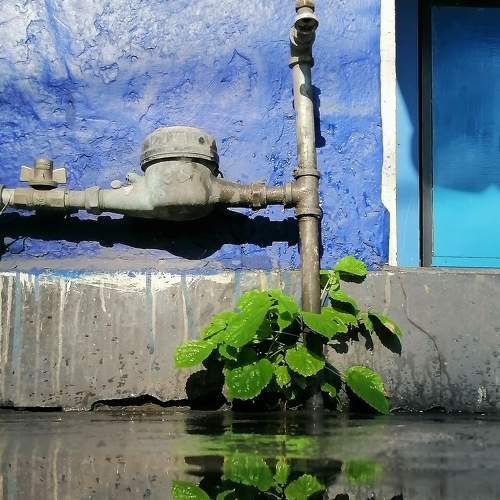 Photo #6483984