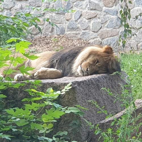 Photo #6484519