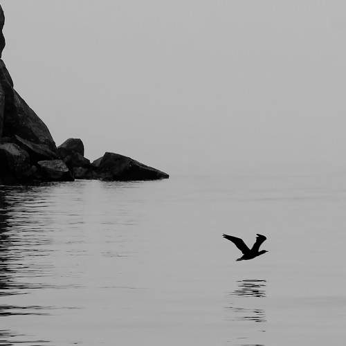 Photo #6485169