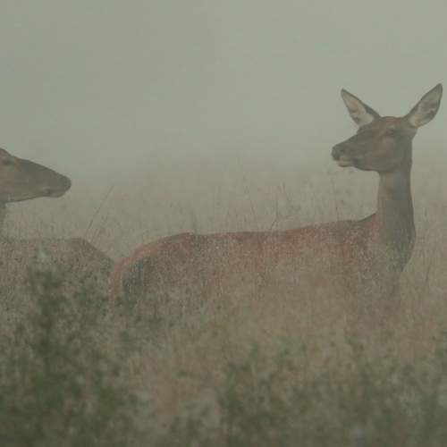 Photo #6485400