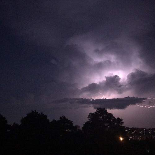Photo #6485463