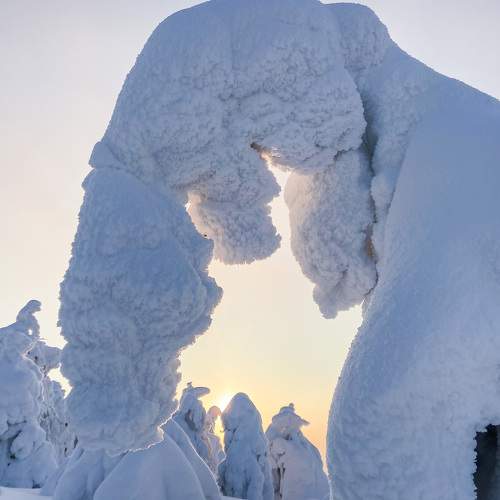 Неслон
