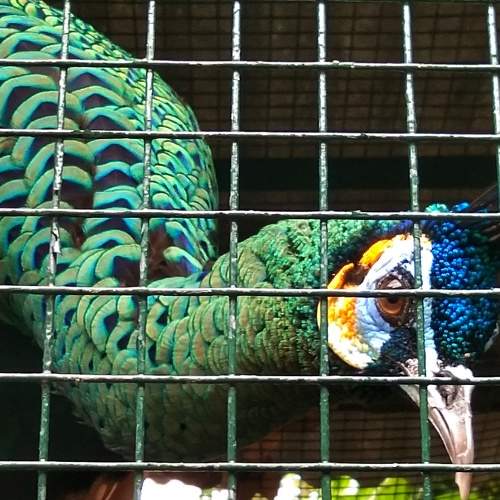 Photo #6485992