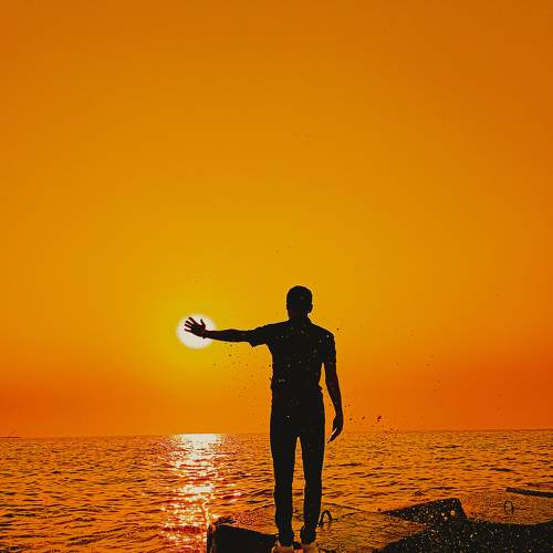 Photo #6486415