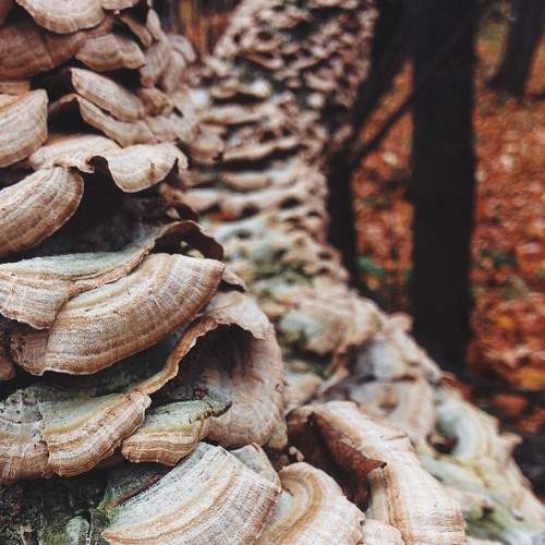 Photo #6486452