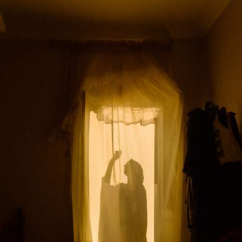 Photo #6486475