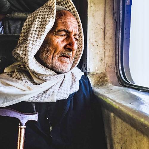 Photo #6486492