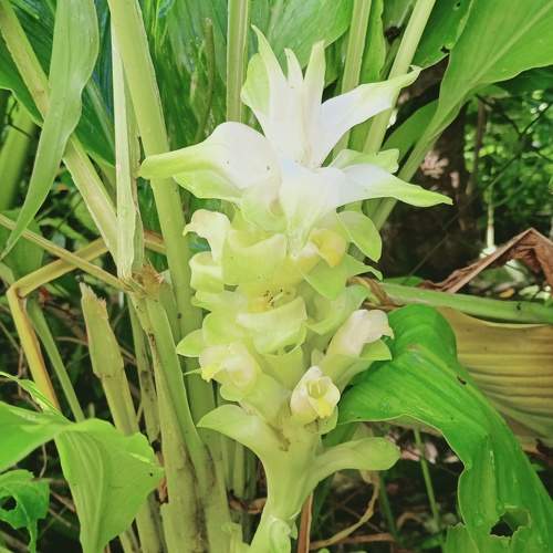 Photo #6486750