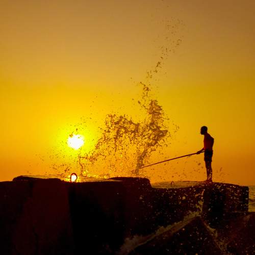 Photo #6486961