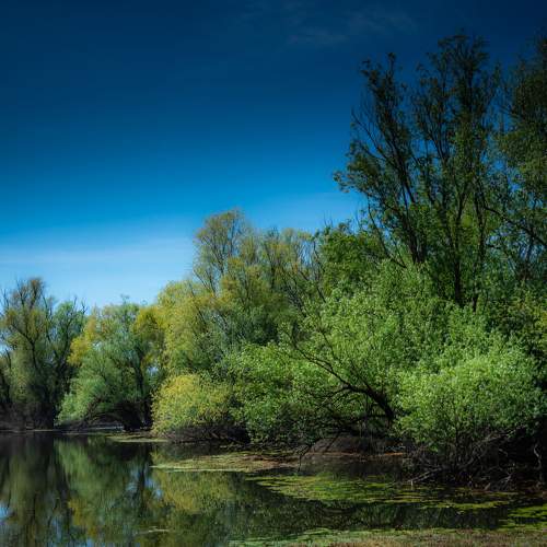 Photo #6487517