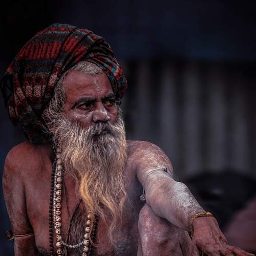 Photo #6487756