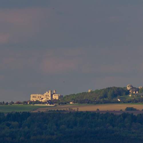 Photo #6487849