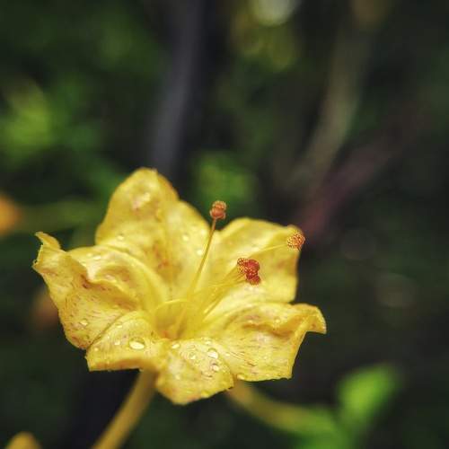 Photo #6488281