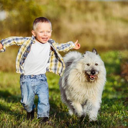 Photo #6488511