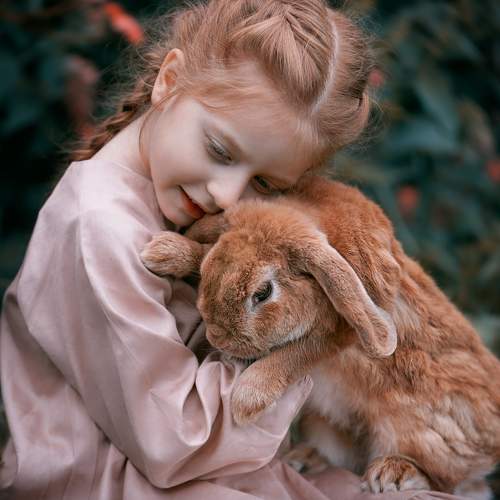 Photo #6488584