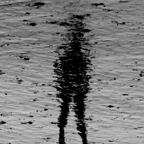 Photo #6488675