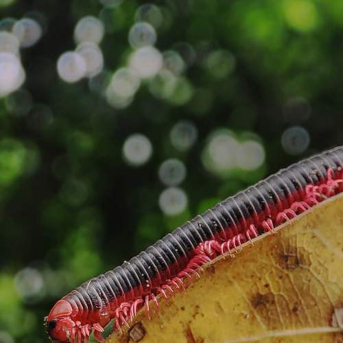 Photo #6489032